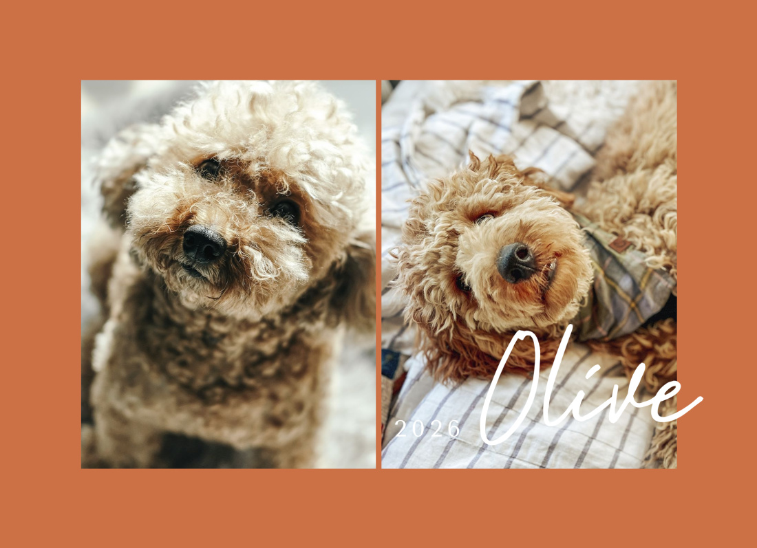2 Photos layout